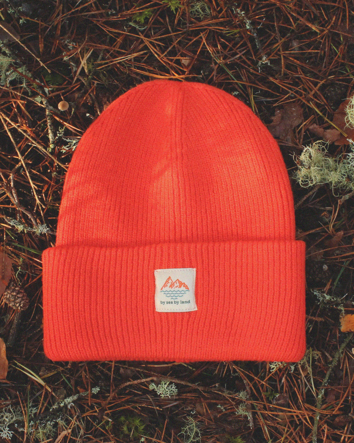 Landward Beanie  - Sunset