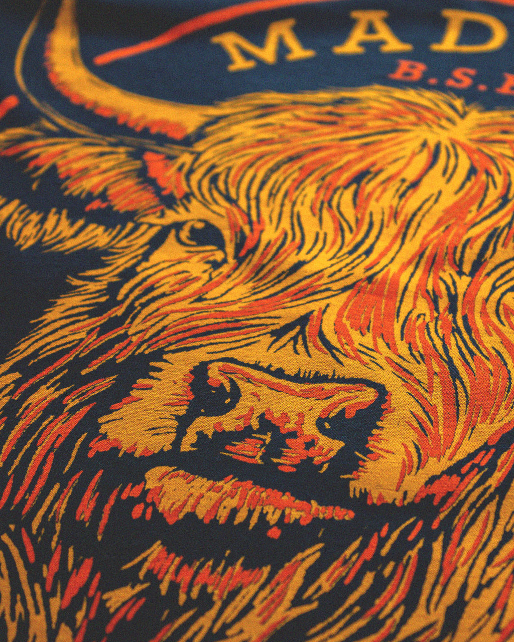 Highland Cow - Black T-shirt